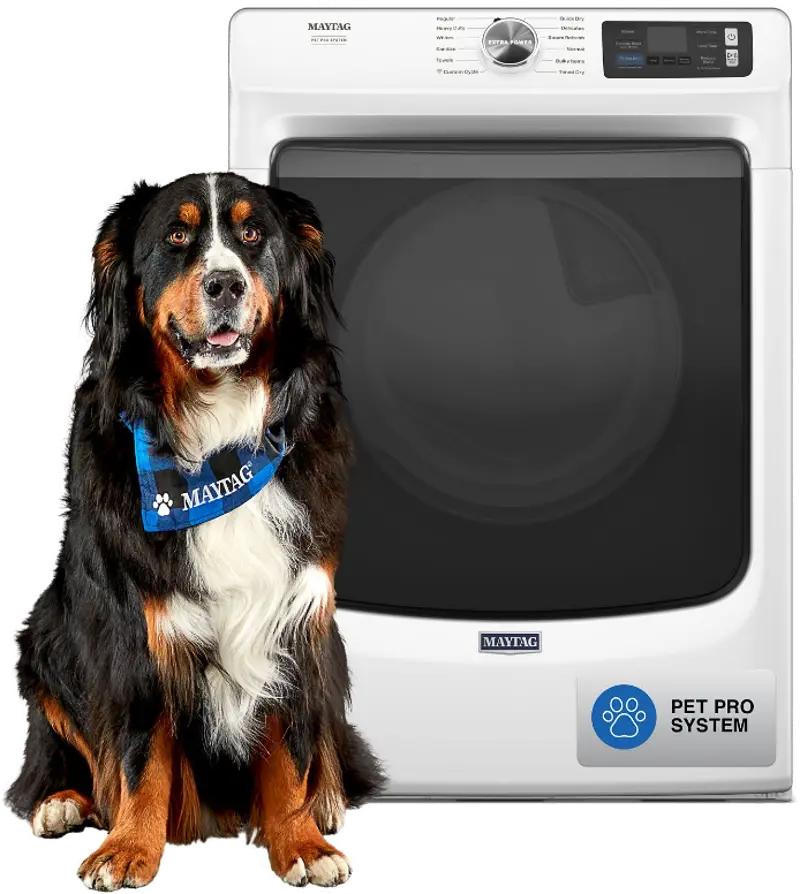 Maytag 7.4 Cu Ft Smart Pet Pro Gas Dryer - White