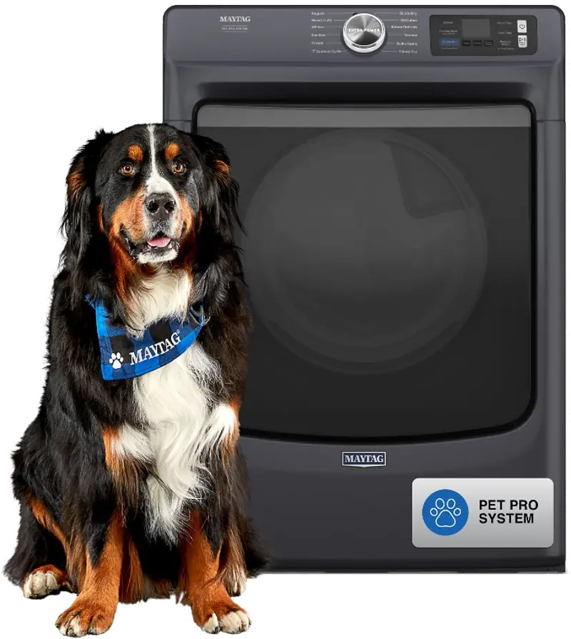 Maytag 7.4 Cu Ft Smart Pet Pro Gas Dryer - Midnight Steel