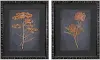 Framed Botanical Art Set of 2