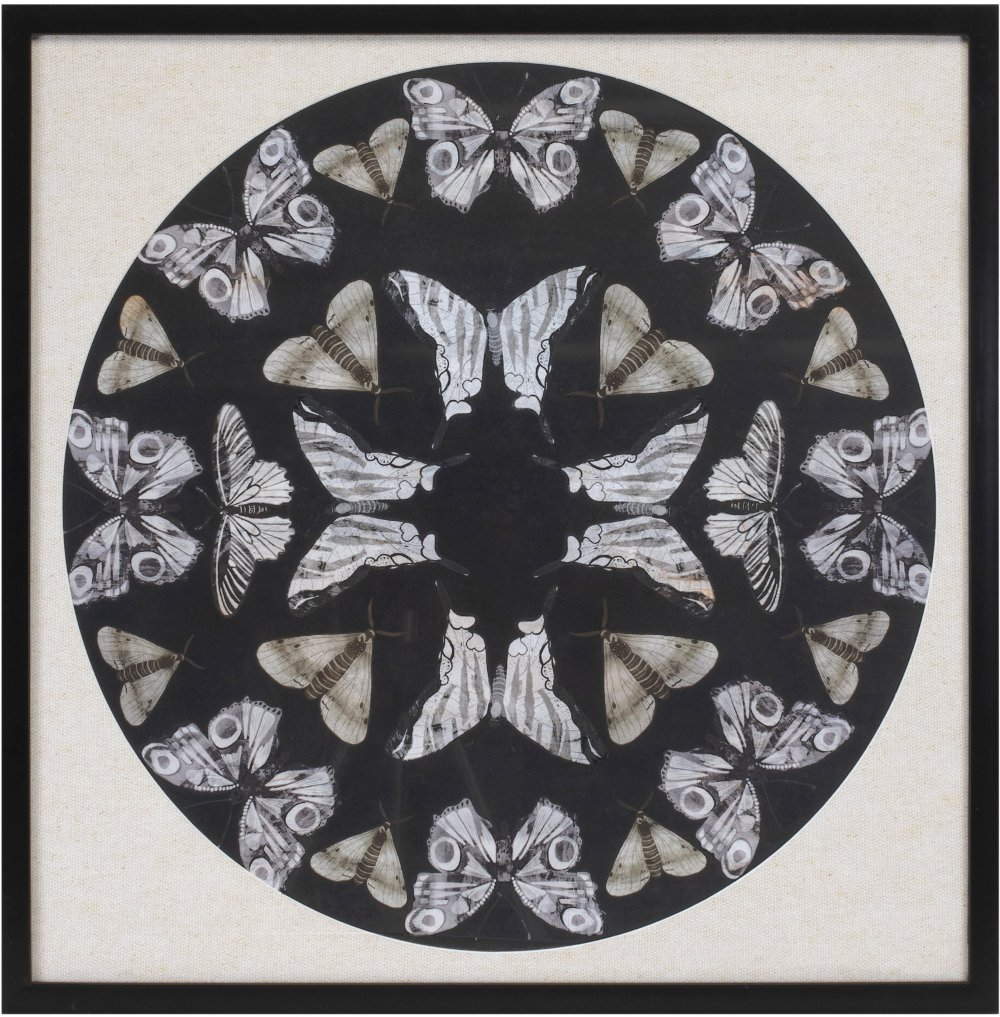 25" Square Paper Butterfly Print