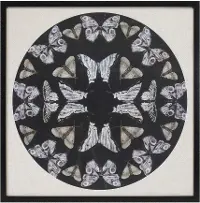 25  Square Paper Butterfly Print