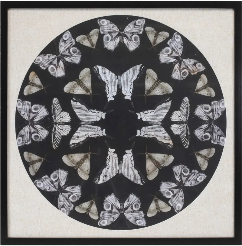 25