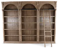 Stratton Brown Bookcases with Ladder