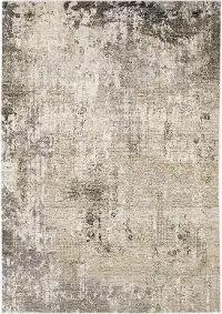 Nebulous 8 x 11 Modern Beige Area Rug