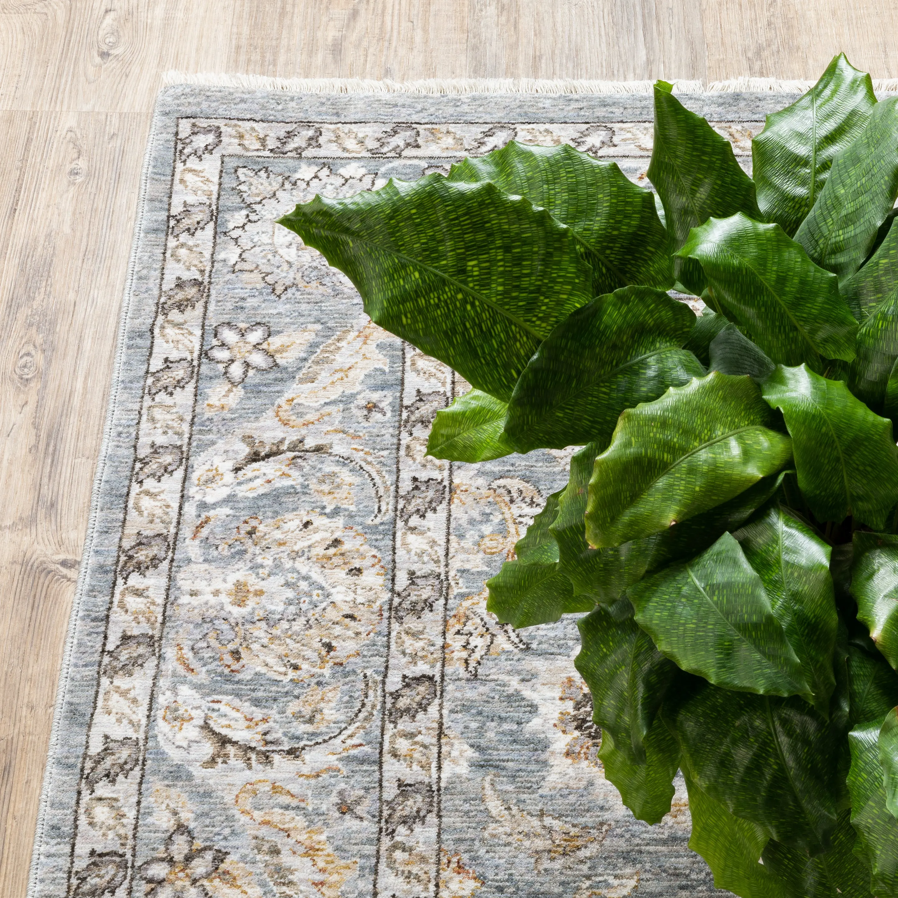 Maharaja 5 x 8 Blue and Ivory Area Rug-3