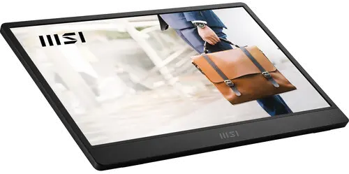 MSI Pro MP161 E2 15.6  Portable Monitor - Metal Gray-10