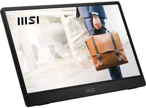 MSI Pro MP161 E2 15.6  Portable Monitor - Metal Gray-3