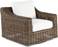 Carter Brown and Beige Motion Lounge Patio Chair