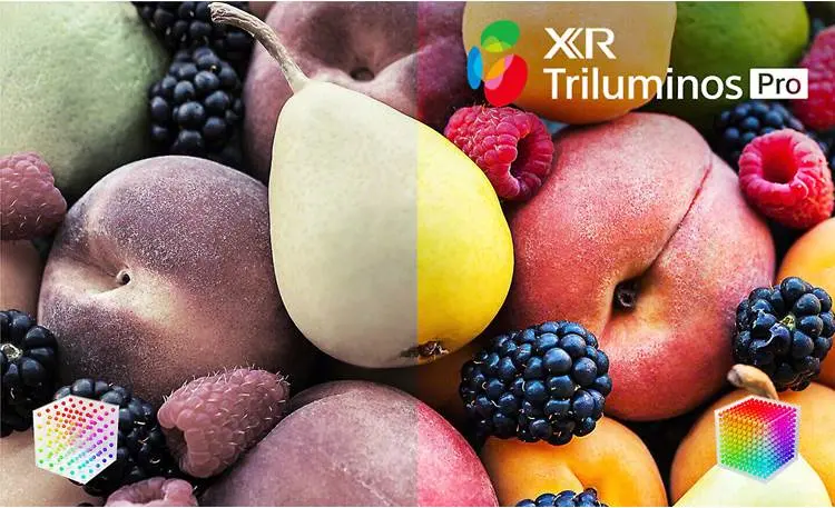 XR83A80CL Sony 83  BRAVIA XR A80L OLED 4K HDR Google TV-4