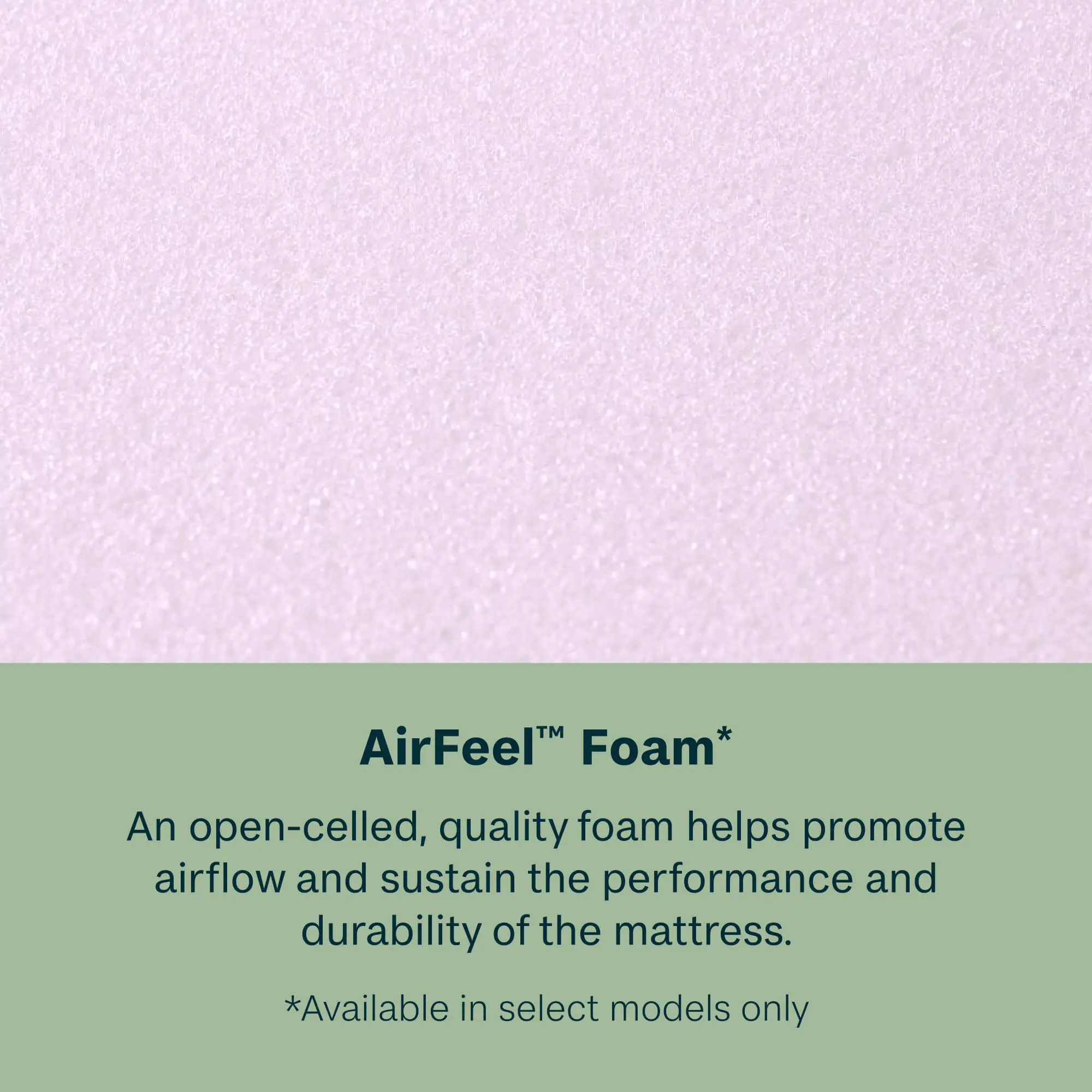 TM-700812181-1010 BeautySleep Dream Weaver Medium Euro Top Twin Mattress-10