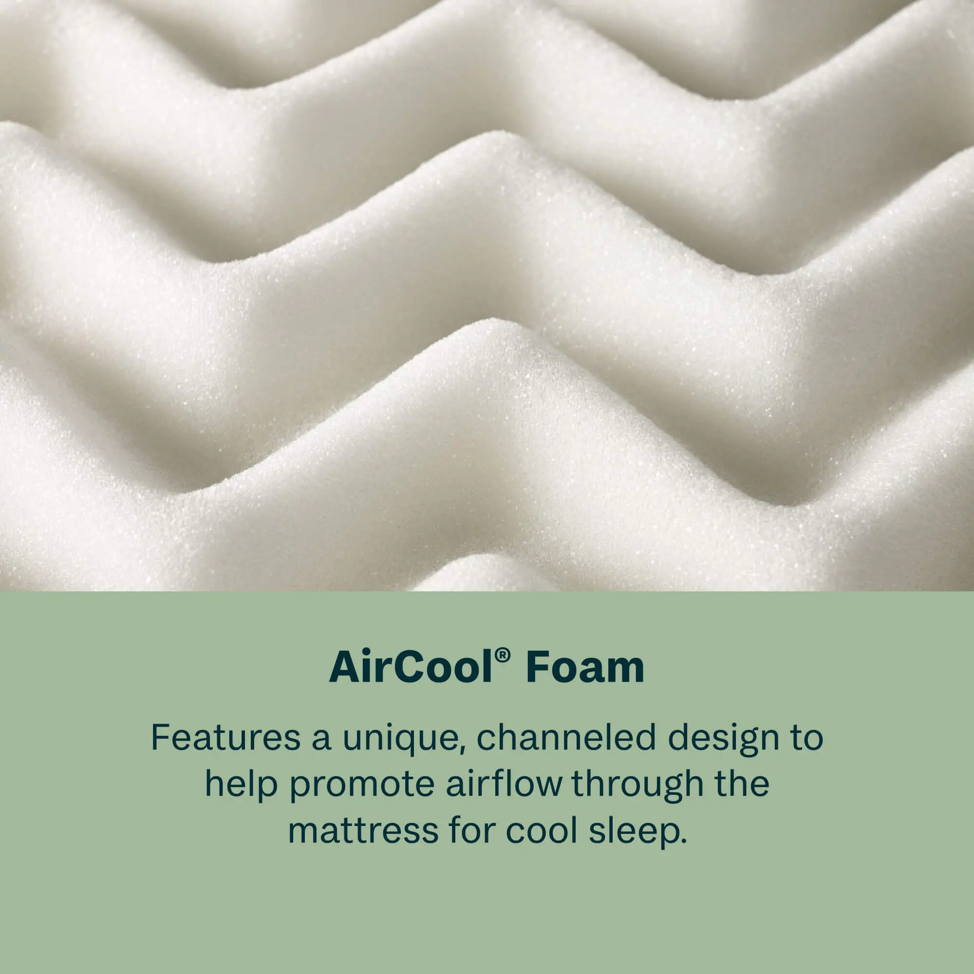 QM-700812181-1050 BeautySleep Dream Weaver Medium Euro Top Queen Mattress-11