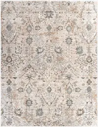 BWK2311-710103 Brunswick 8 x 10 Taupe Rug