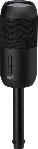 ISBW240BDL iLive Portable IPX6 Waterproof Wireless Speakers with Removable Yard Stakes-4