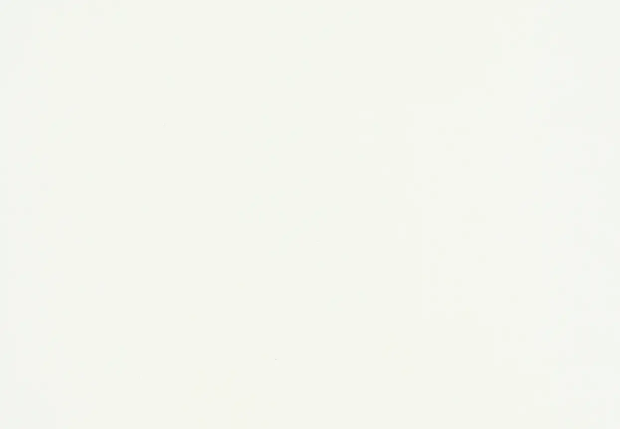 Artiste White 72  Arch Bookcase-8