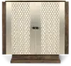 Drexton 2-Door Brown and Silver Cabinet