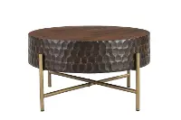 Santa Cruz Antique Bronze and Brown Coffee Table