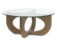 Lainey Brown Coffee Table