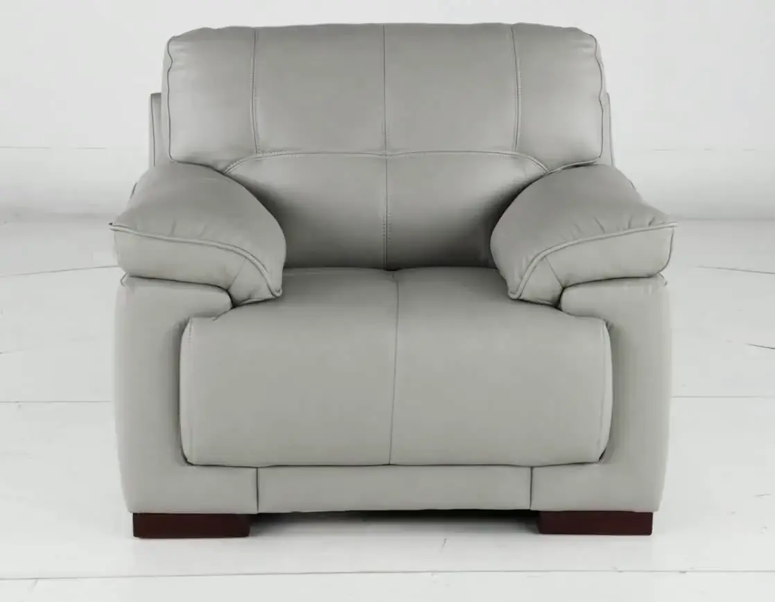 Baron Gray Leather Chair-8