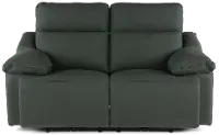 Istanbul Dark Green Leather Power Reclining Loveseat with Power Headrests
