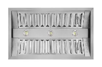 Hauslane | Pro-Style 46” Built-In Range Hood