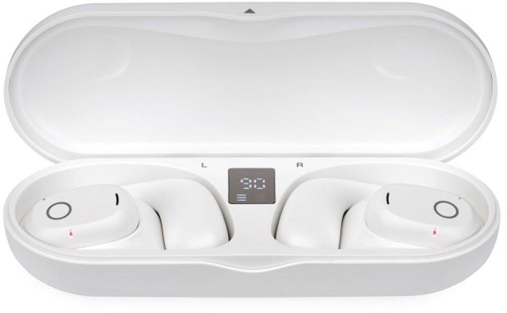 White Earbuds