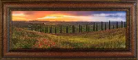 MS2022RC Under The Tuscan Sun Framed Canvas