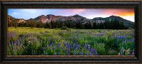 MS2023RC Albion Basin Sunset Framed Canvas