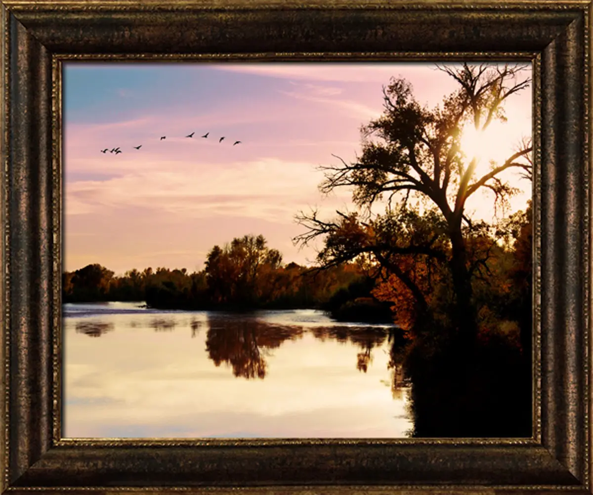 BB2001RC Fall Flight Framed Canvas-1