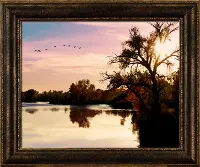 BB2001RC Fall Flight Framed Canvas