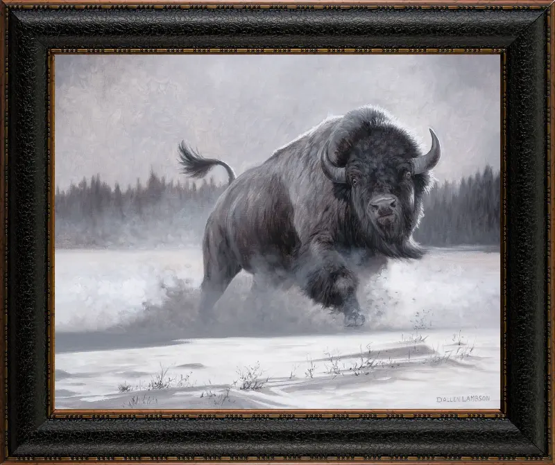 Snow Plow Bison Framed Canvas