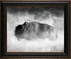MT2127RC Dusty Traveler Bison Framed Canvas