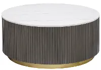Janson Brown and White Coffee Table
