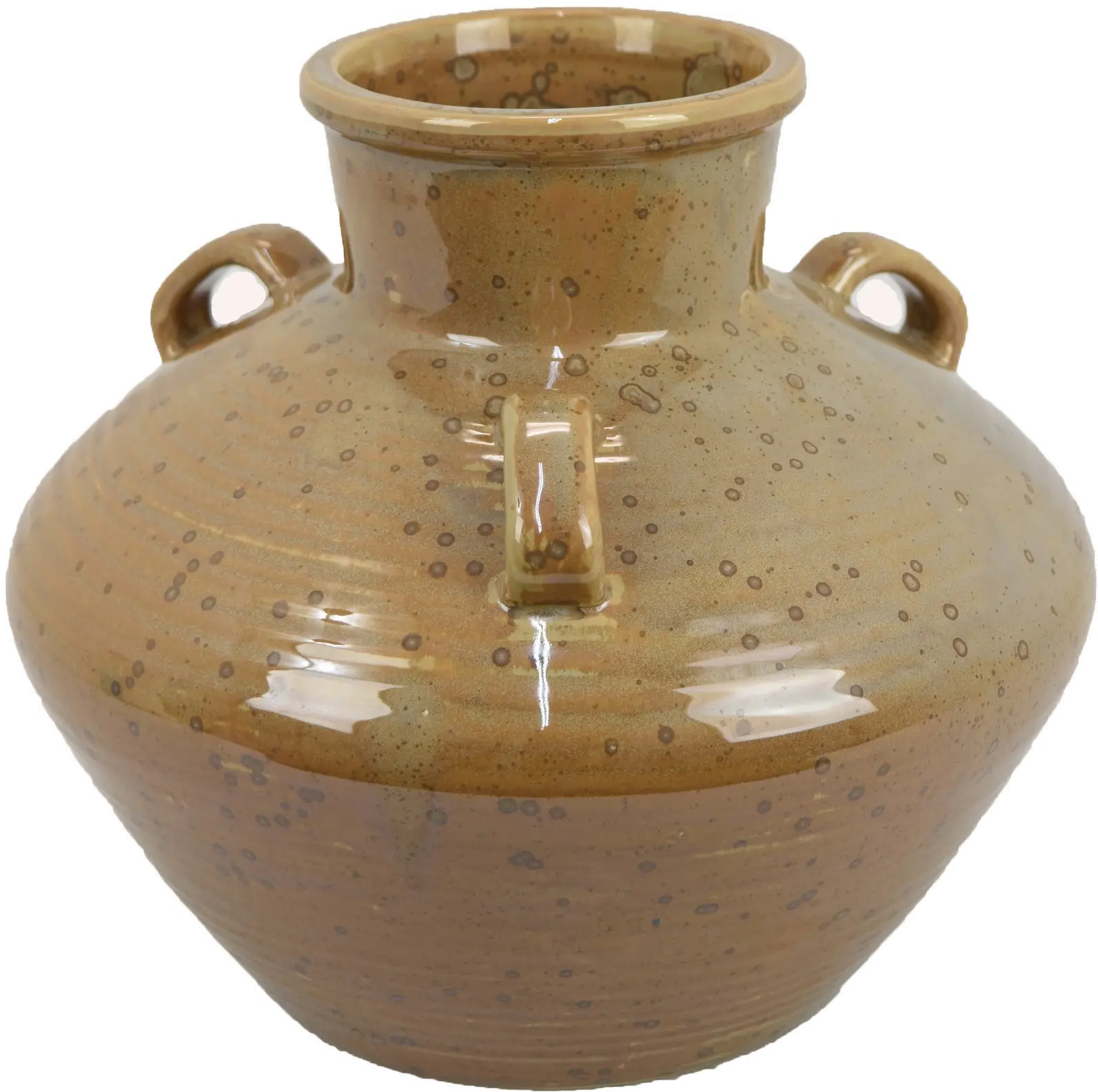 Decorative Earth Tone Vase-2