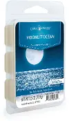 Moonlit Ocean Wax Melt