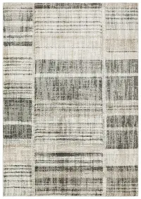 Cambria 5 x 8 Beige and Charcoal Area Rug