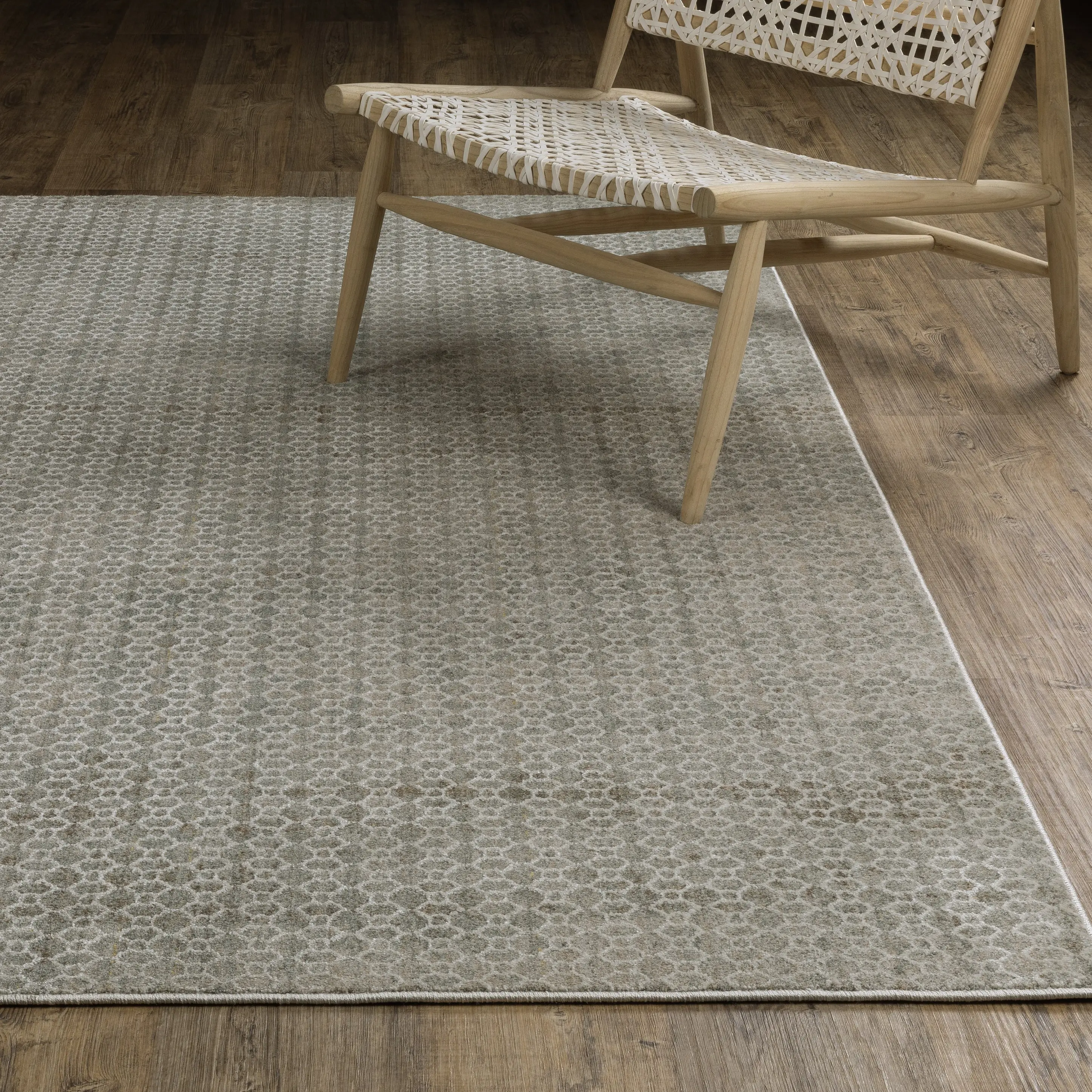Mallory 8 x 11 Gray and Blue Area Rug-2