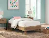 Pleasanton Twin Platform Bed