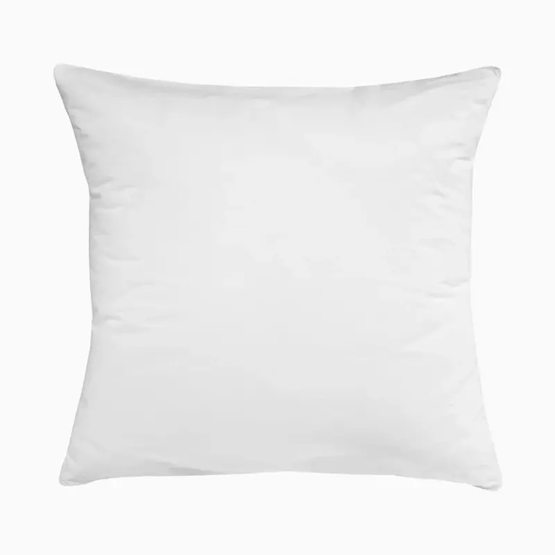 Queen Gel Euro Insert Set of 2