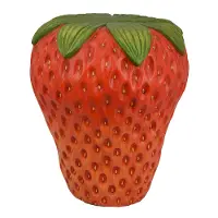 16.25  Strawberry Plant Stand