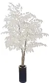 6' White Ficus Tree in Metal Pot