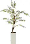 3' Cherry Tree in White Wood