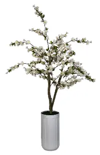 4' Cherry Blossom in Cylinder