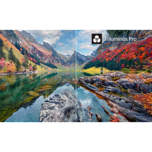 K55XR80M2 Sony BRAVIA 8 II 55  4K HDR Smart QD-OLED TV-13