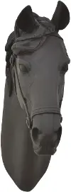 Horse Head Wall Decor