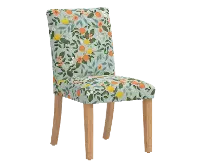 RPC63-6NATRPCCTGRMNLCB Rifle Paper Co Beth Citrus Grove Mint Dining Chair