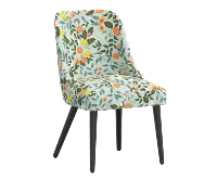 RPC84-6RPCCTGRMNLCB Rifle Paper Co Tara Citrus Grove Mint Dining Chair