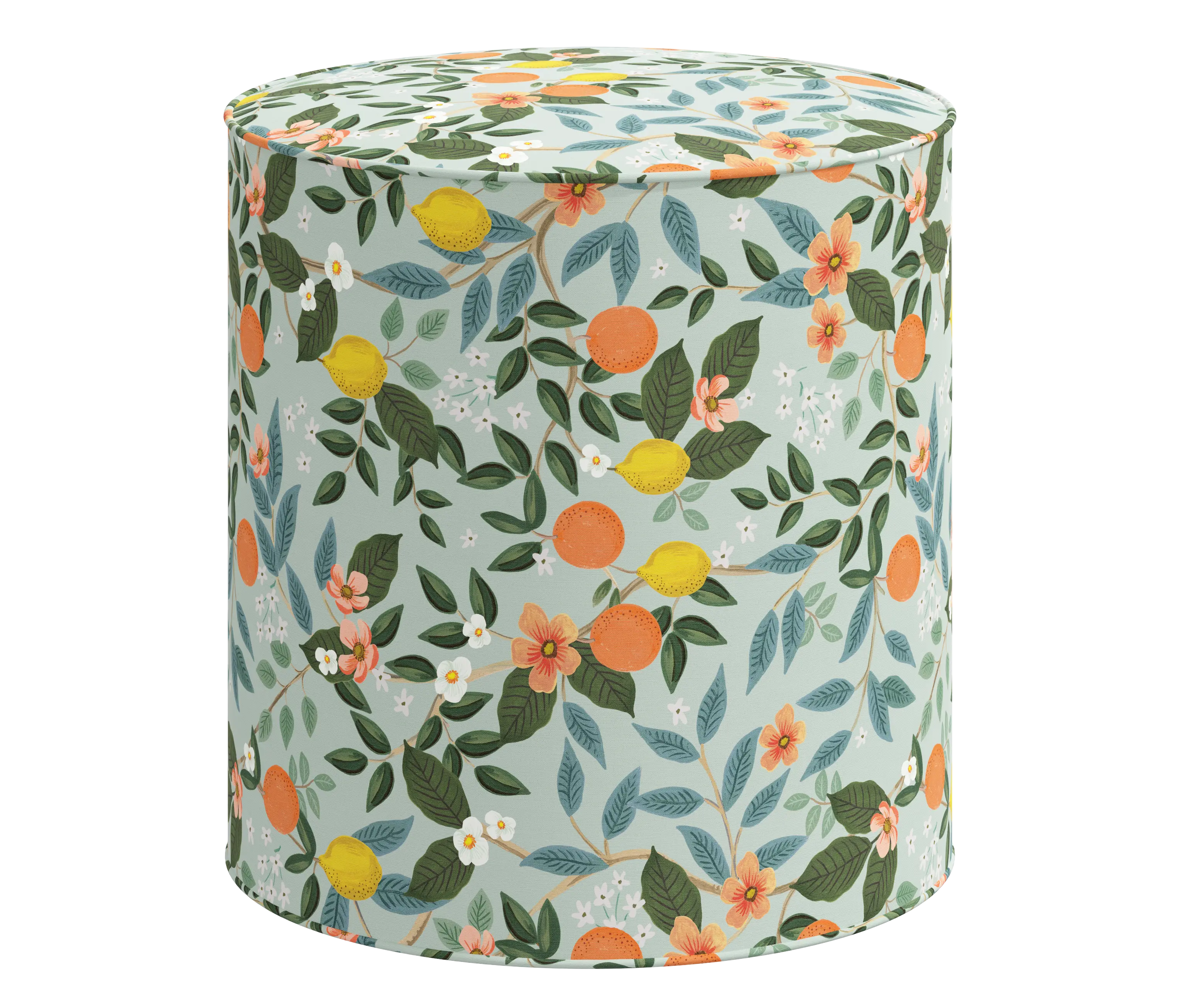 RPC90-2RPCCTGRMNLCB Rifle Paper Co Billie Citrus Grove Mint Round Ottoman-1