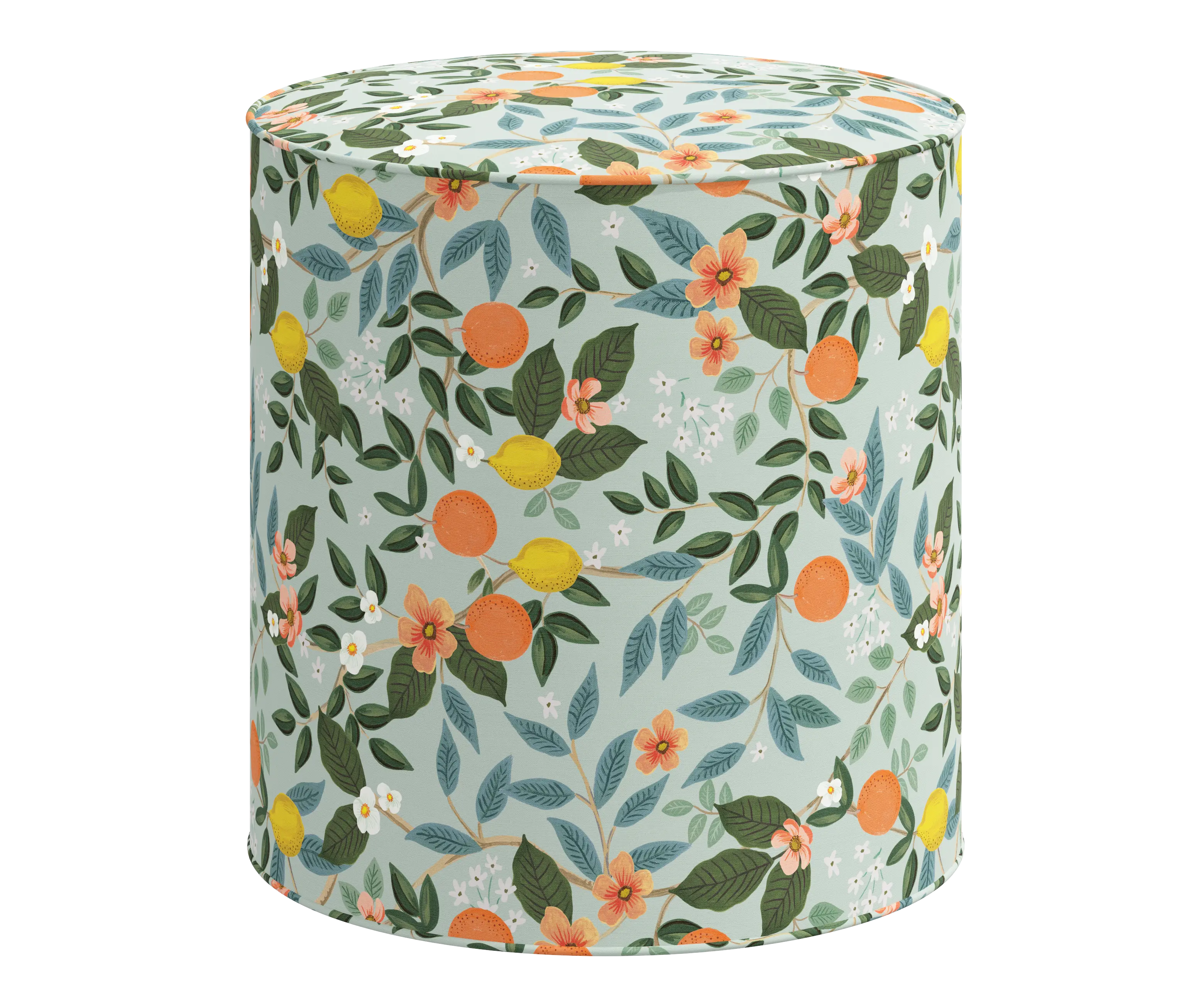 RPC90-2RPCCTGRMNLCB Rifle Paper Co Billie Citrus Grove Mint Round Ottoman-2