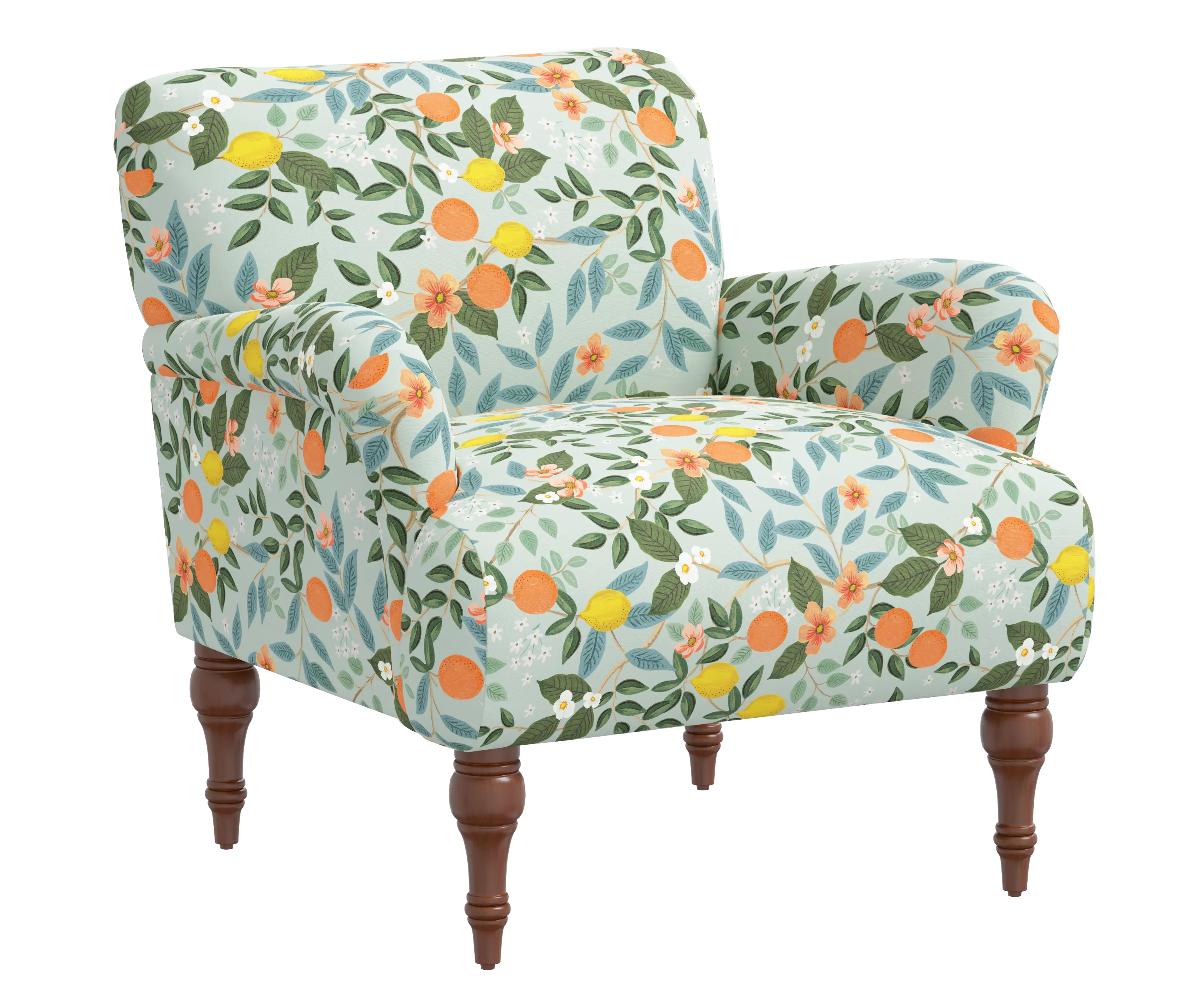 RPC9305RPCCTGRMNLCB Rifle Paper Co Elodie Citrus Grove Mint Accent Chair-2