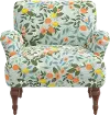 RPC9305RPCCTGRMNLCB Rifle Paper Co Elodie Citrus Grove Mint Accent Chair